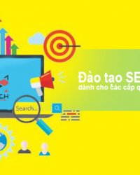 Đào tạo SEO cho quản lý doanh nghiệp