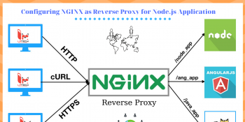 NGINX làm Proxy cho ứng dụng NodeJS và AngularJS