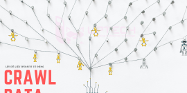 Dịch vụ lập trình công cụ crawl dữ liệu website tự động