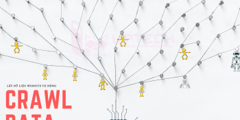 Dịch vụ lập trình công cụ crawl dữ liệu website tự động