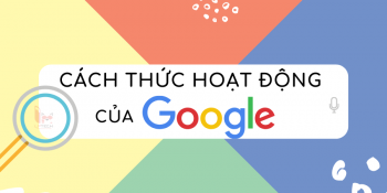 Công cụ tìm kiếm là gì và hoạt động như thế nào - Hướng dẫn SEO - Bài 2