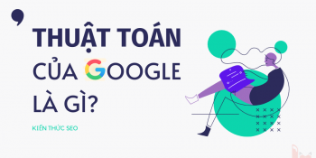 Những thuật toán Google bạn cần phải biết khi làm SEO