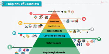 Ứng dụng tháp nhu cầu Maslow trong Marketing và SEO