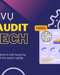 Dịch vụ SEO Audit cho website bị tuột  hạng và dính thuật toán