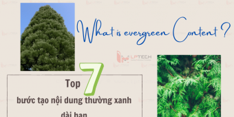 Evergreen content là gì? Top 7 bước tạo nội dung thường xanh dài hạn