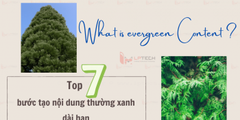 Evergreen content là gì? Top 7 bước tạo nội dung thường xanh dài hạn