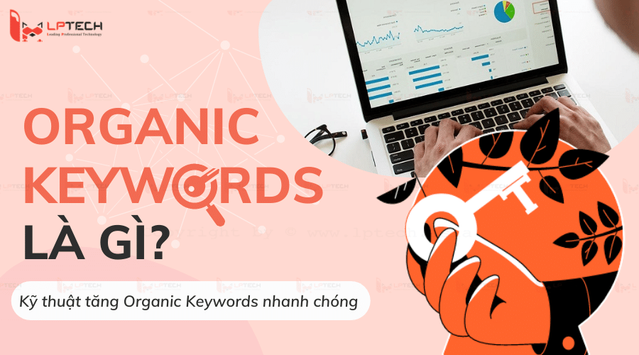Organic Keywords Là Gì? Kỹ Thuật Tăng Organic Keywords Nhanh Chóng