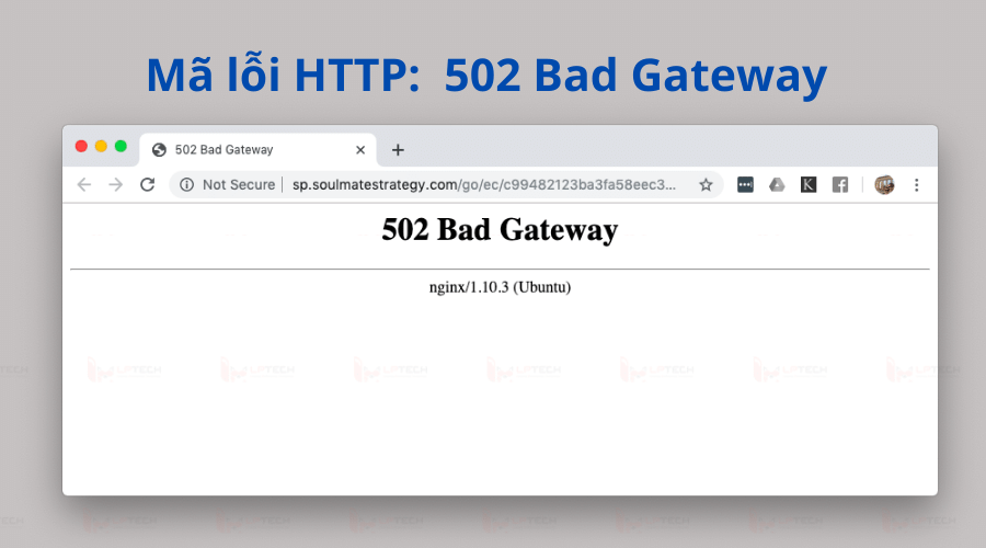 mã trạng thái HTTP 502