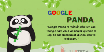 Google Panda: Cập nhật thuật toán hoàn chỉnh từ năm 2011 đến 2021
