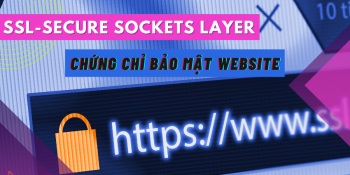 SSL là gì? Nên dùng chứng chỉ SSL miễn phí hay trả phí?