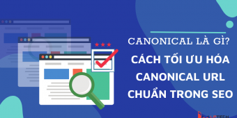 Canonical là gì? Cách tối ưu hóa Canonical Url chuẩn trong SEO