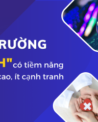9 Thị trường ngách có tiềm năng kinh doanh cao, ít cạnh tranh