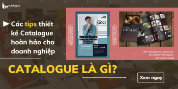 Catalogue là gì? Các tips thiết kế Catalogue hoàn hảo cho doanh nghiệp