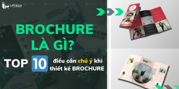Brochure là gì? Top 10 điều cần chú ý khi thiết kế Brochure