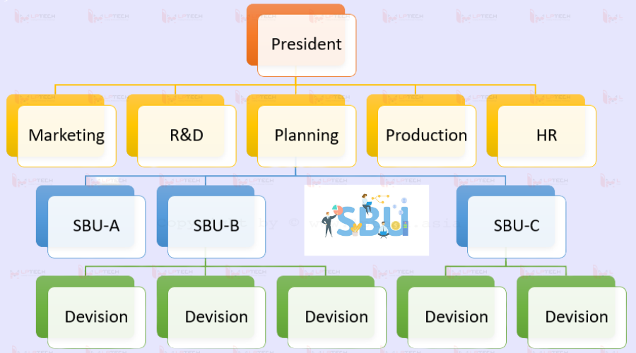 Đặc điểm của đơn vị kinh doanh chiến lược SBU