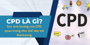 CPD là gì? Sức ảnh hưởng của CPD quan trọng như thế nào với Marketing