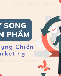 Chu kỳ sống của sản phẩm và cách áp dụng chiến lược marketing phù hợp