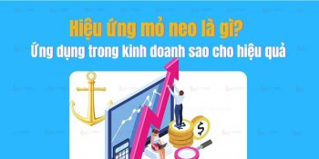 Hiệu ứng mỏ neo là gì? Ứng dụng trong kinh doanh sao cho hiệu quả