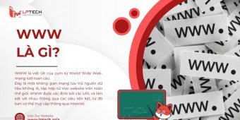 WWW là gì? Tổng quan kiến thức về World Wide Web