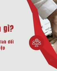 Collab là gì? Vai trò của Collab đối với doanh nghiệp vừa và nhỏ