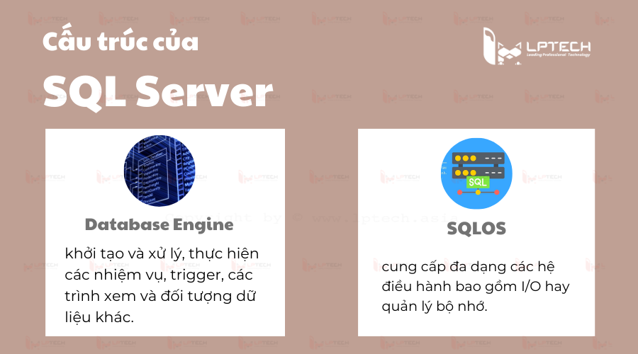 Cấu trúc của SQL Server