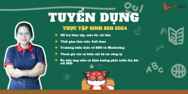 Tuyển dụng Thực tập sinh SEO 2025