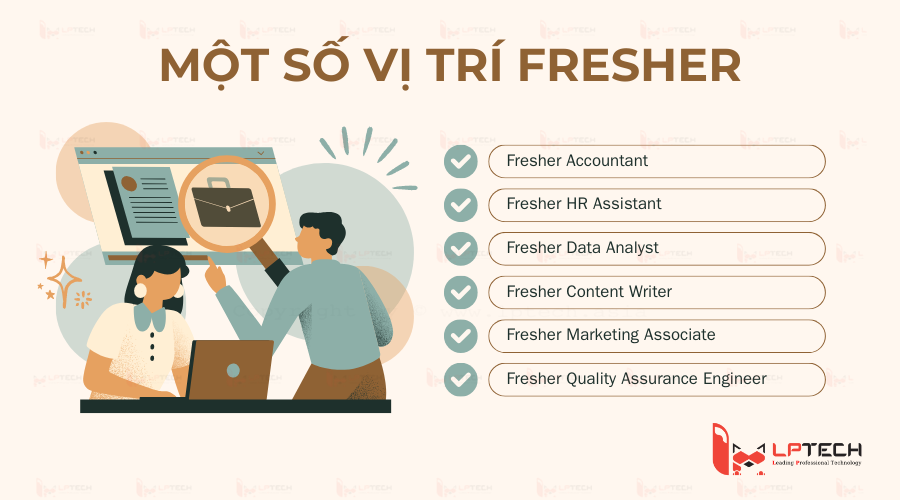 Một số vị trí của fresher