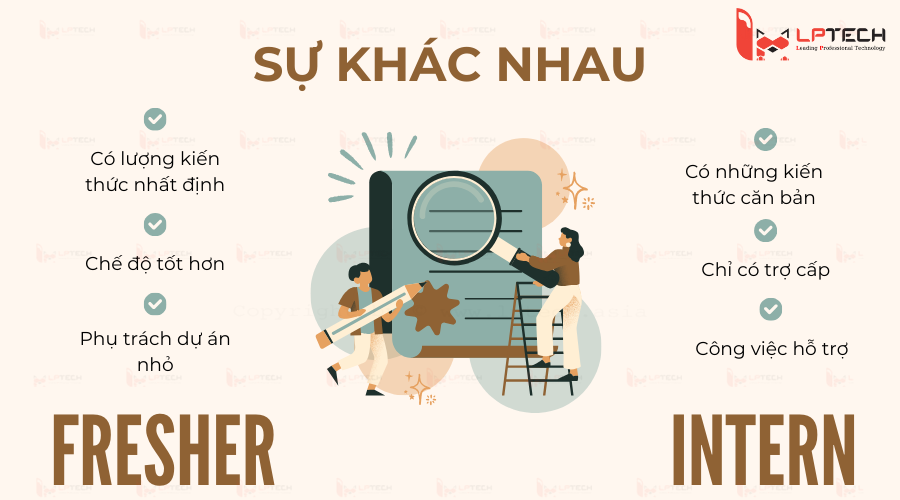 Sự khác nhau của Fresher và Intern