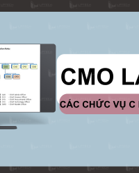COO, CFO, CCO, CIO, CMO là chức vụ gì? Ý nghĩa và viết tắt