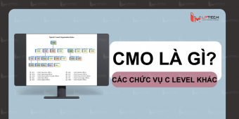 COO, CFO, CCO, CIO, CMO là chức vụ gì? Ý nghĩa và viết tắt