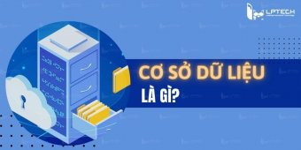 Cơ sở dữ liệu là gì? Các loại cơ sở dữ liệu và ứng dụng của chúng