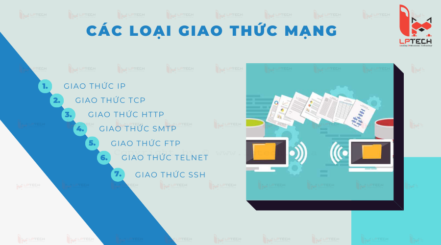 Các loại giao thức mạng