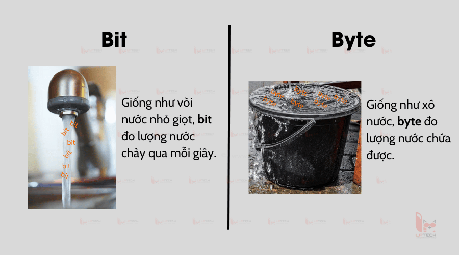 Phân biệt chức năng của bit và byte