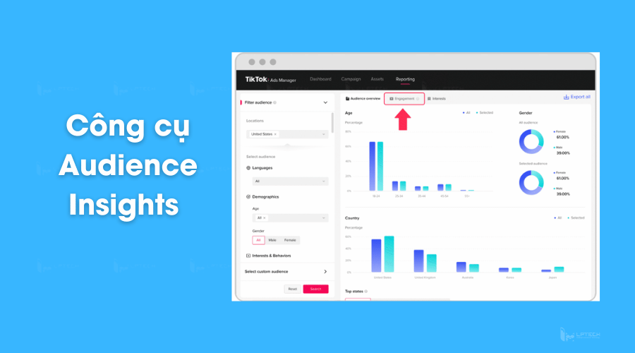 Công cụ Audience Insights của Tiktok