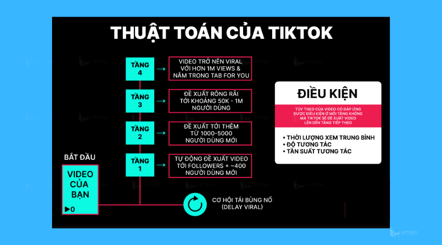 Thuật toán Tiktok