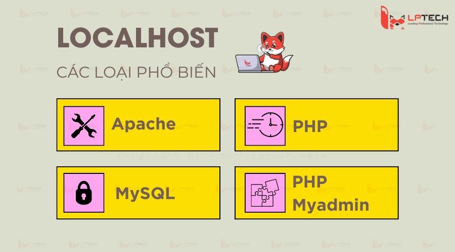 Các loại Localhost phổ biến