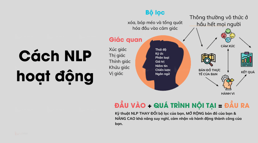 Cách NLP hoạt động