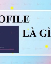 Profile là gì? Profile bao gồm thông tin gì? Cách tạo profile cá nhân