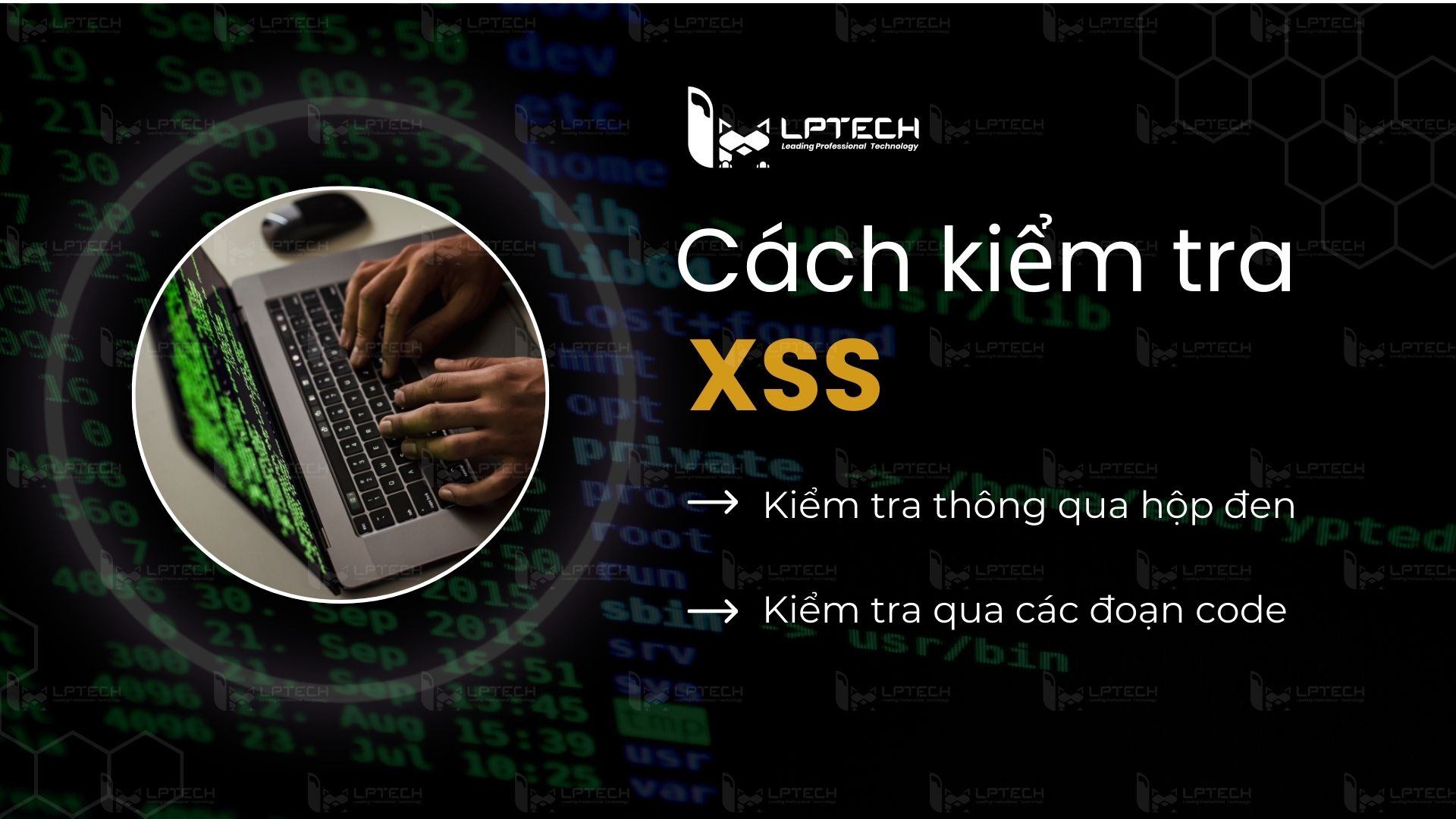 Các bài kiểm tra XSS