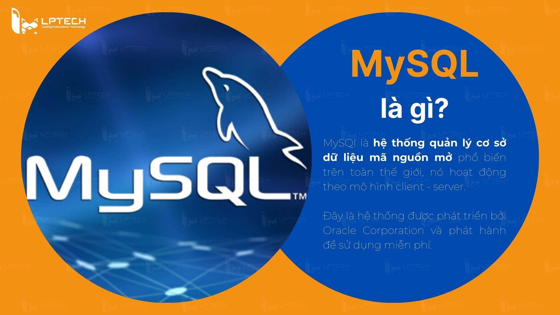 MySQL là gì?