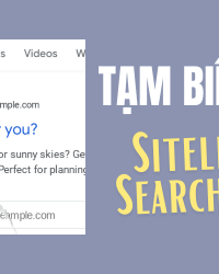 Sitelinks Search Box là gì? Tại sao không còn được Google hỗ trợ?