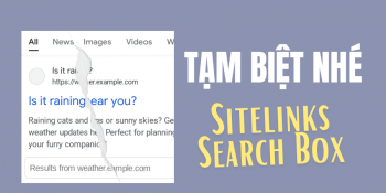 Sitelinks Search Box là gì? Tại sao không còn được Google hỗ trợ?