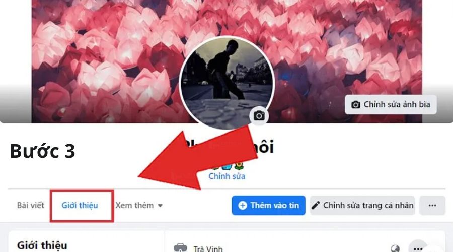 chọn tiếp vào “Xem thông tin giới thiệu của bạn”.