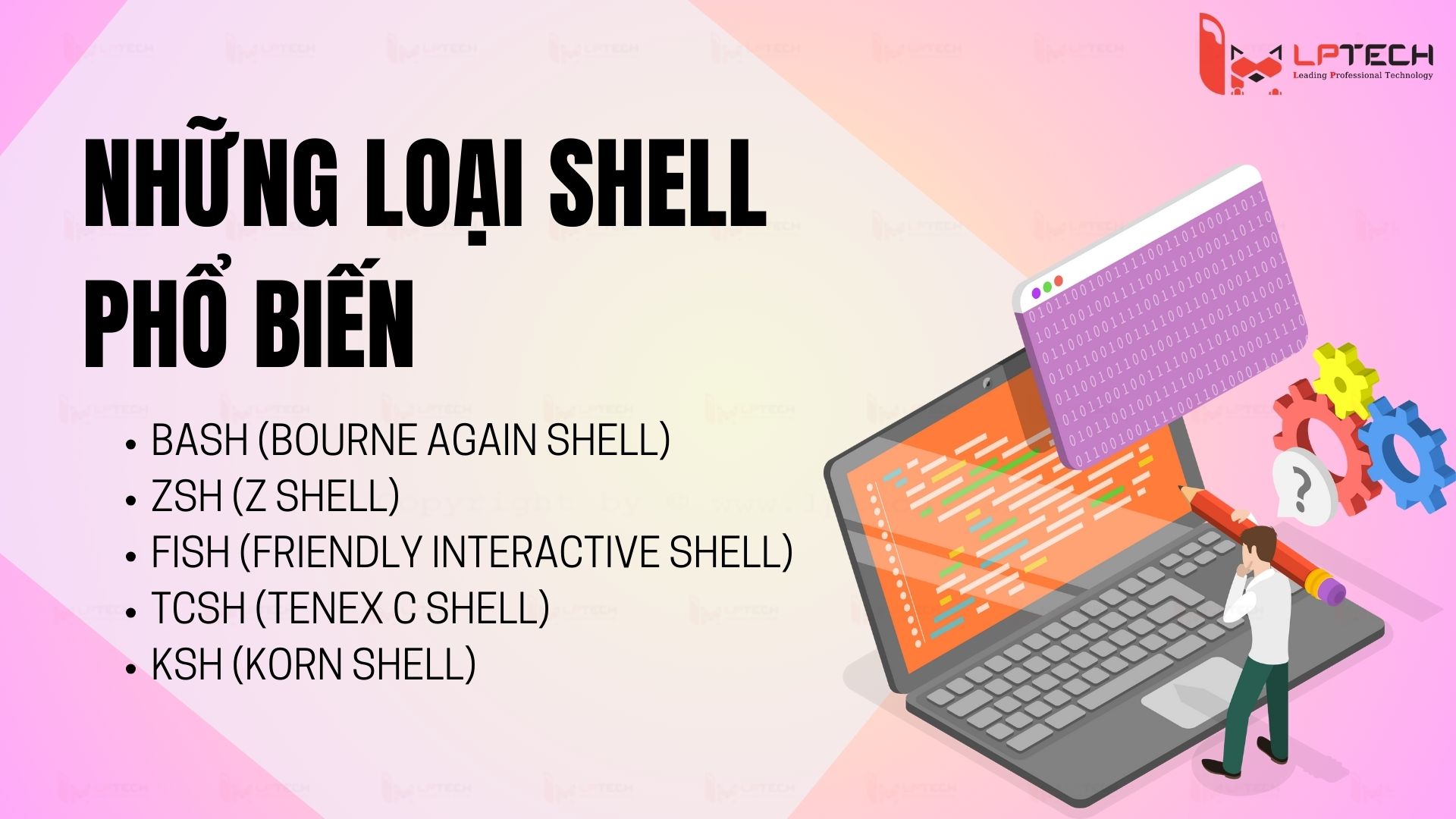 Shell có những loại nào?