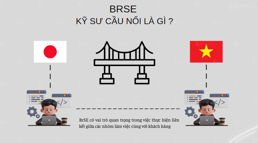 Kỹ sư cầu nối (brse) là gì?