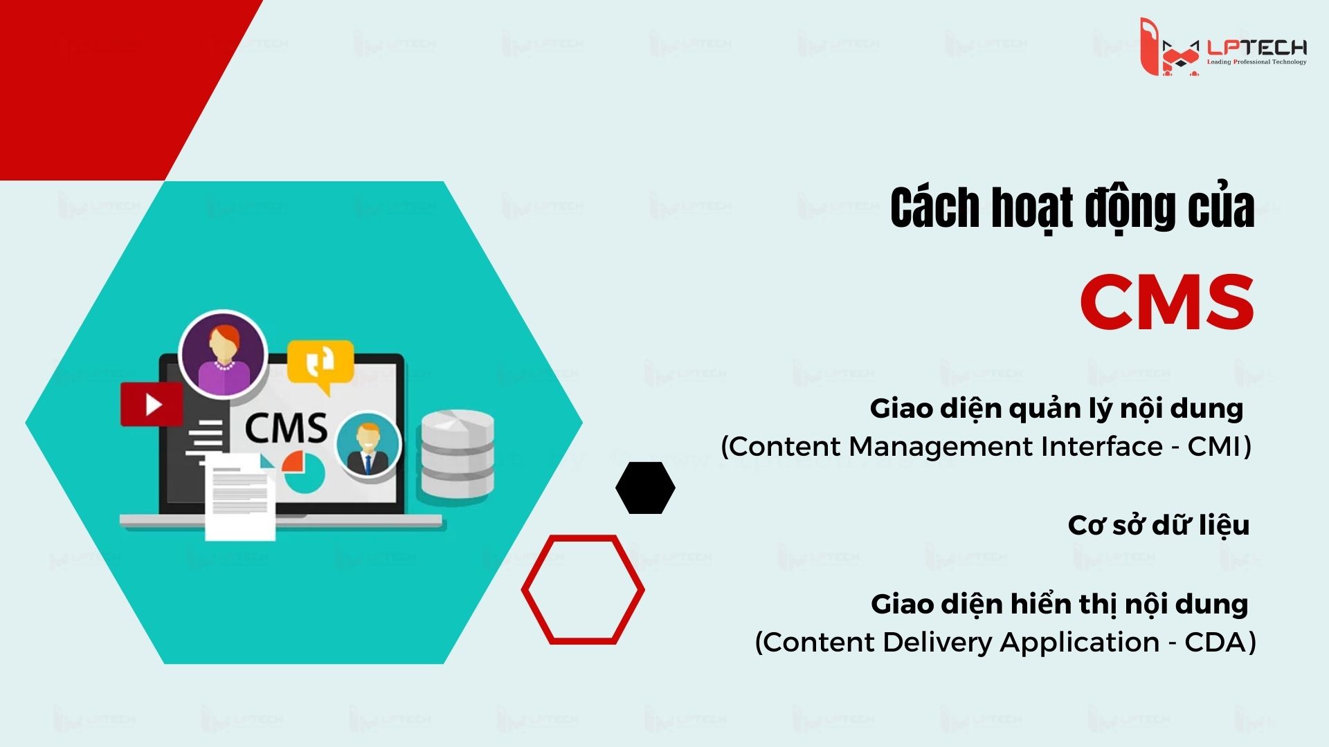CMS hoạt động như thế nào?