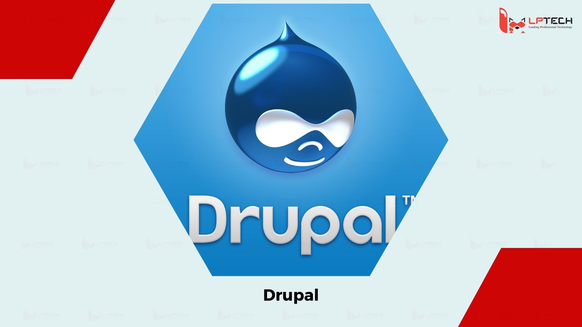 Drupal