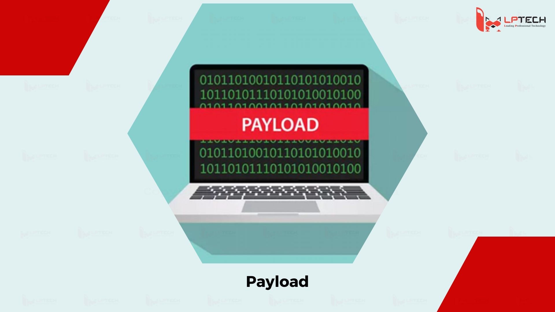 Payload