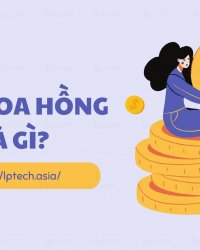 Tiền hoa hồng là gì? Cách tính phần trăm tiền hoa hồng
